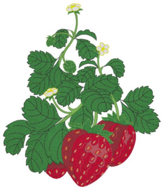 Picture of Strawberries Machine Embroidery Design