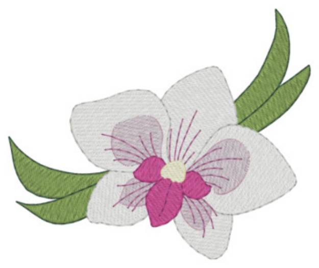 Picture of Orchid Machine Embroidery Design