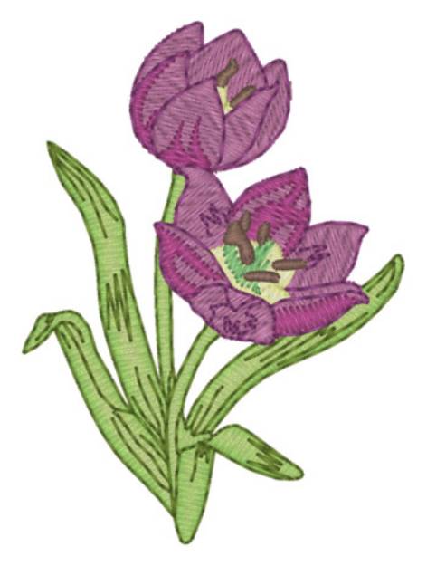 Picture of Sm. Wild Tulip Machine Embroidery Design