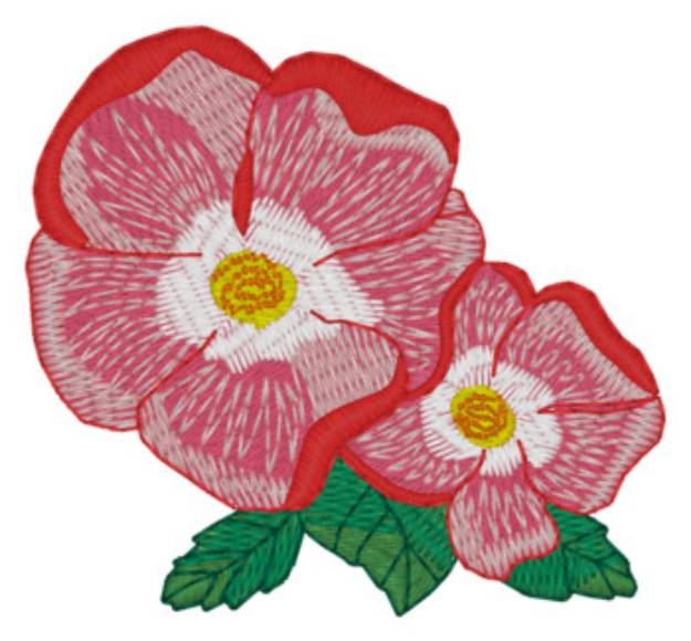 Picture of Coral Rose Machine Embroidery Design