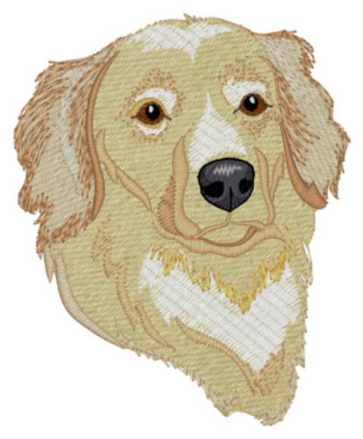 Picture of Sm. Golden Retriever Machine Embroidery Design