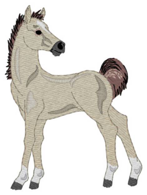 Picture of Standing Foal Machine Embroidery Design