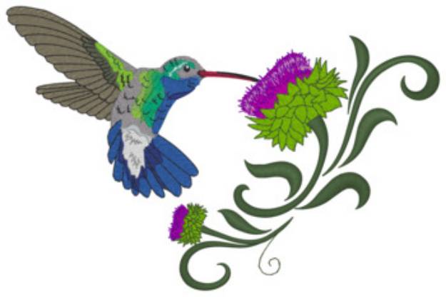 Picture of Hummingbird Machine Embroidery Design