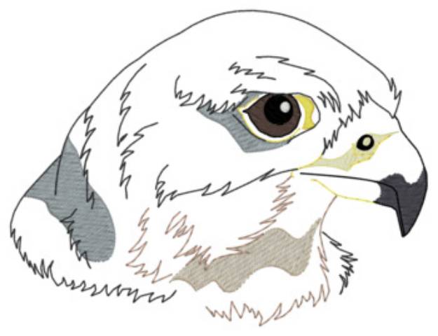 Picture of Peregrine Falcon Machine Embroidery Design