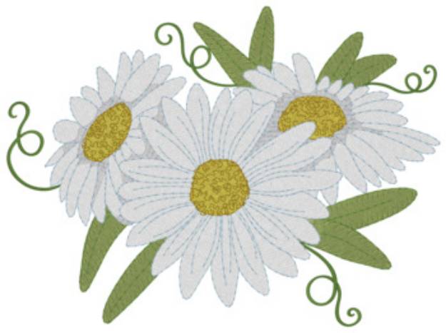 Picture of Daisies Machine Embroidery Design