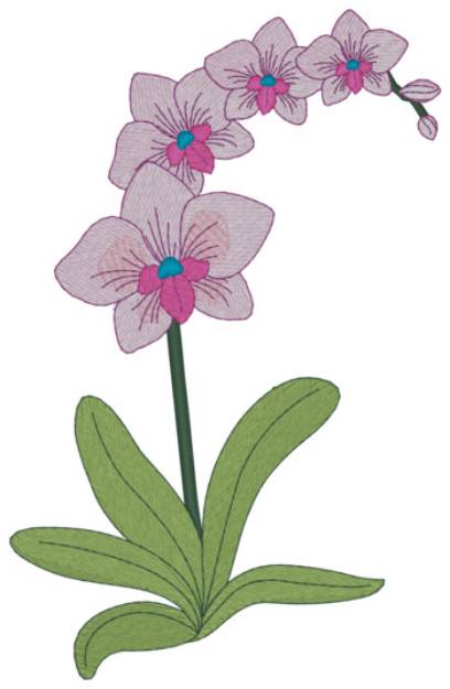 Picture of Orchid Machine Embroidery Design