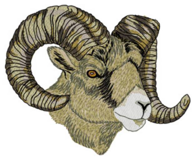 Picture of Bighorn Sheep Machine Embroidery Design