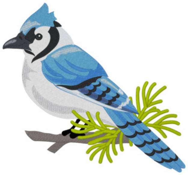 Picture of Blue Jay Machine Embroidery Design