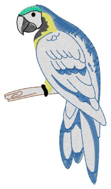 Picture of Blue Macaw Machine Embroidery Design