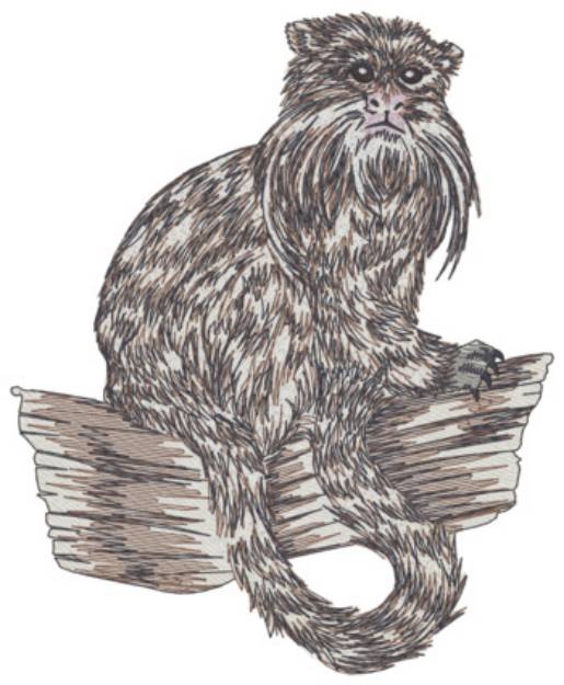 Picture of Emperor Tamarin Machine Embroidery Design