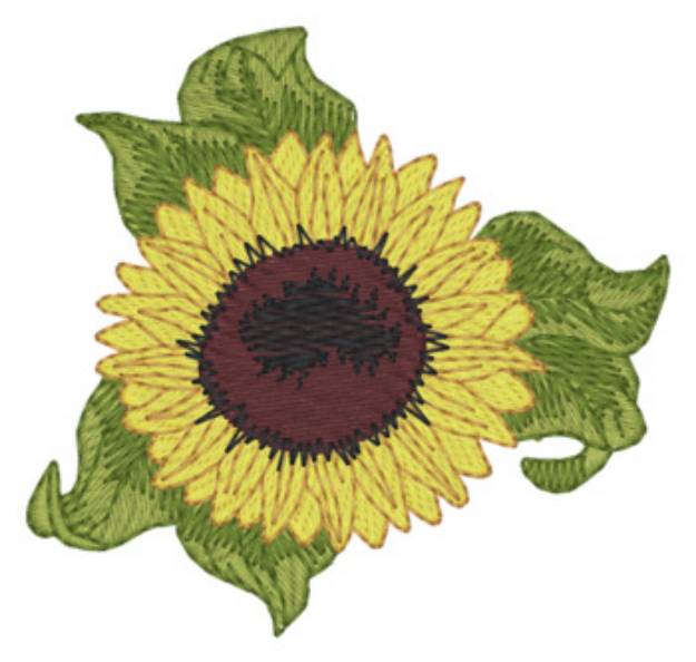 Picture of Sunflower Machine Embroidery Design