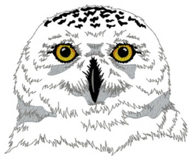 Picture of Snowy Owl Head Machine Embroidery Design