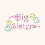 Picture of Big Sister Embroidery Project Pack