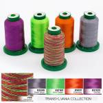 Picture of ColorPlay Thread Kits Embroidery Threads